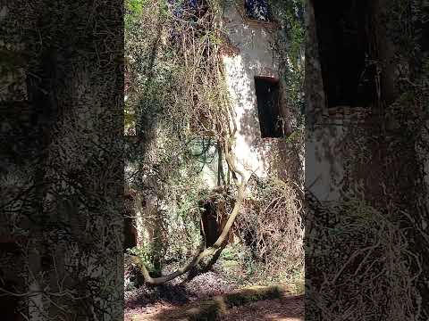 #ruínas #hotel #radio #araxá #minasgerais #brasil #2026 #nature #fantasmas #travel #turismo