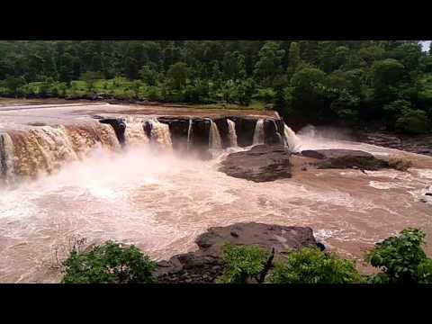 Gira Fall  Dang 2016