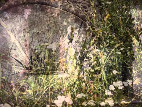 Ještě tak pejska - Jan Burian