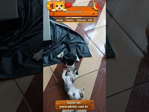 Vídeo de sem nome