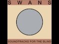 Swans I Was A Prisoner In Your Skull