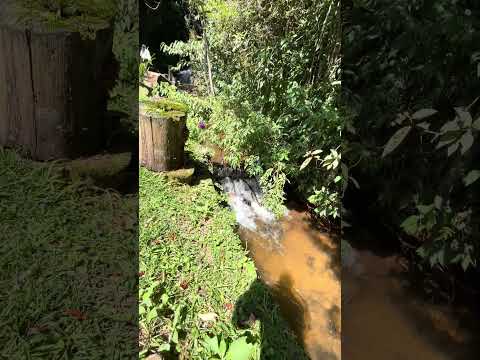 Achei no interior de São Paulo |  Para quem gosta de natureza e comida boa 👍