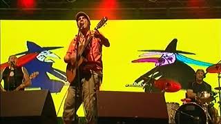 Manu Chao La Ventura - Mr. Bobby - Live