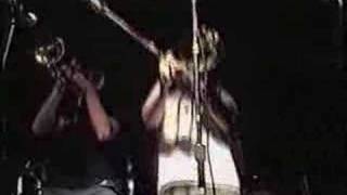 The Hippos - Celebrate (Live)