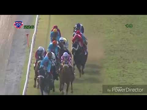 ENAAD WITH JOCKEY D.STACKHOUSE WIN THE AIR MAURITIUS MAIDEN CUP 2018 for Gujadhur stable