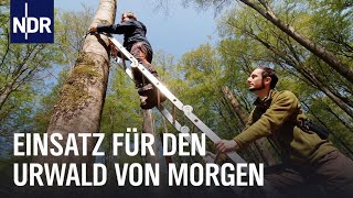 Ganz schön wild: Artenschutz im Norden | Die Nordreportage | NDR Doku