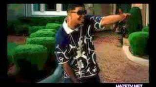 Baby Boy &amp; Mannie Fresh - Naw Mean (Hazed-out Video)