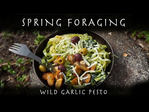 download lagu mp3 mp4 Spring Garlic Pesto, download lagu Spring Garlic Pesto gratis, unduh video klip Spring Garlic Pesto