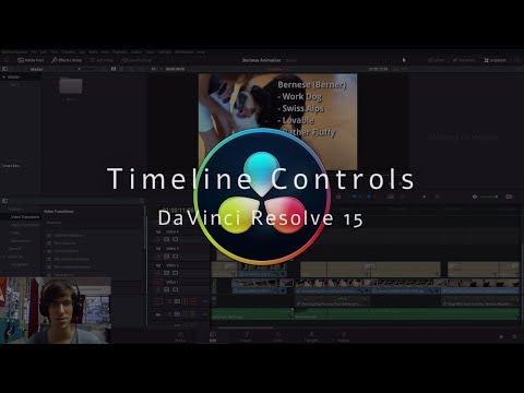 Basic Editing & Controls in the Timeline - DaVinci Resolve 15 Tutorial