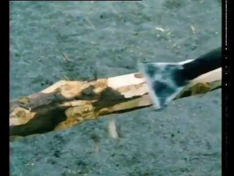 Leitermachen auf der Fegebank