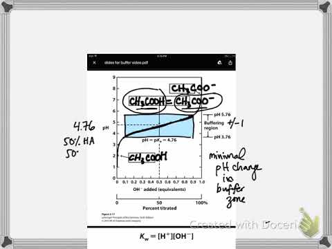 Muddiest points- Titration curve of glycine