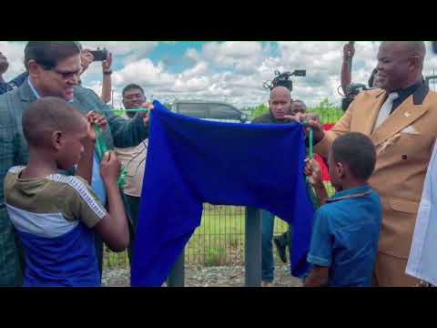 Description or Alt Text