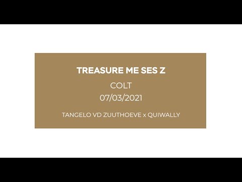 Treasure Me SES Z