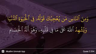 Download lagu Al-Baqarah ayat 204 mp3