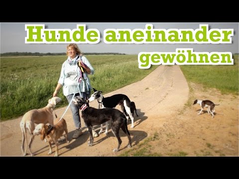 Wie lange krank Prostatitis Die Analyse der Prostata bei Männern