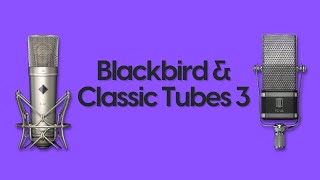 Video thumbnail for Slate Digital VMS Expansion Packs | Overview & Audio Samples by ThatAudioChick