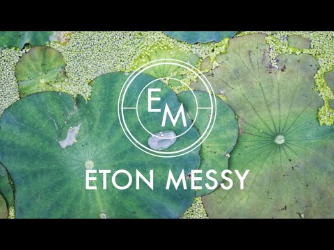 Lumoon & Robin - Want It Back (Saison Edit) [Future Disco]