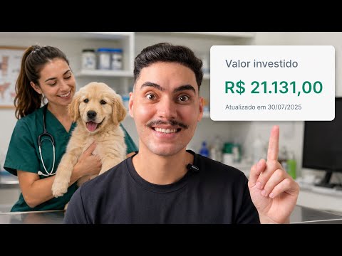 Investimentos e organização financeira: entenda a estratégia
