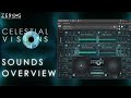 Video 2: Sounds Overview