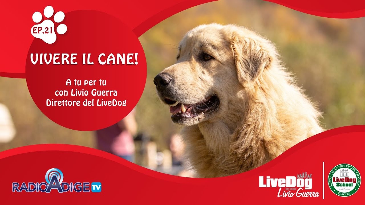 Descrizione dell'immagine