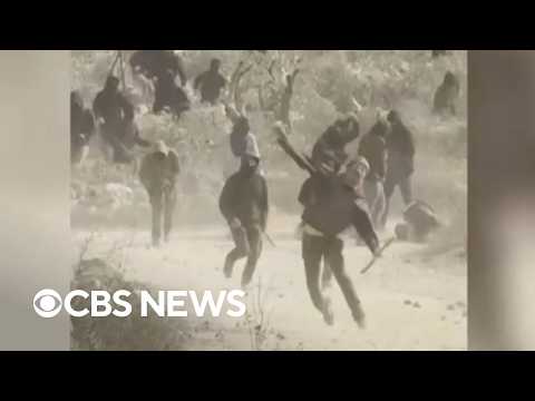 Israeli settlers attack American journalist and Palestinians during olive harvest in West Bank