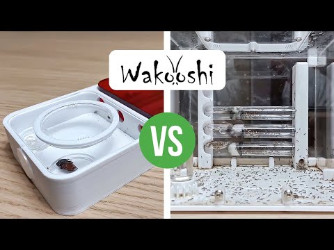 Confronto Tra Nidi: WaKooshi Venus Nest Vs Saturn Nest