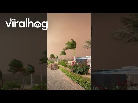 Sandstorm in São Paulo || ViralHog
