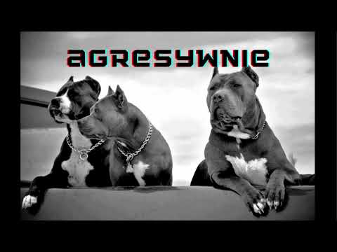 COZY UG - Agresywnie (prod. BeastBeats)
