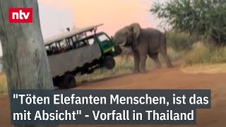 &quot;Töten Elefanten Menschen, ist das mit Absicht&quot; - Touristin stirbt in Thailand  | ntv