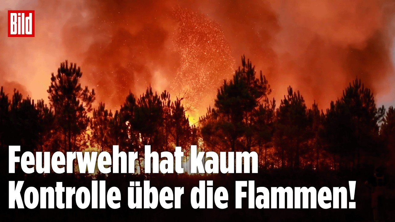 SÜDEUROPA IN FLAMMEN: In Frankreich, Spanien und Portugal wüten weiterhin Waldbrände