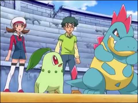 Evolve Totodile