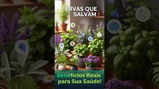 🌿 Plantas Poderosas que Curam! Benefícios Incríveis para Sua Saúde 💚 #PlantasQueCuram #SaudeNatural