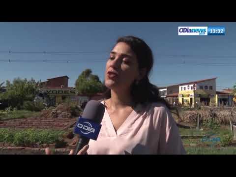 O DIA NEWS 31 07  AgeÌ‚ncia francesa de desenv. avalia a possibilidade de investimento em Teresina