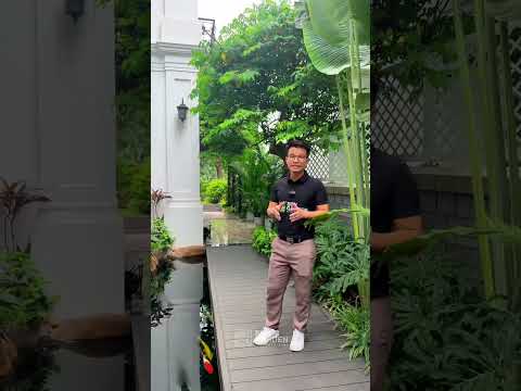 Video 3 Vinhomes Riverside 01