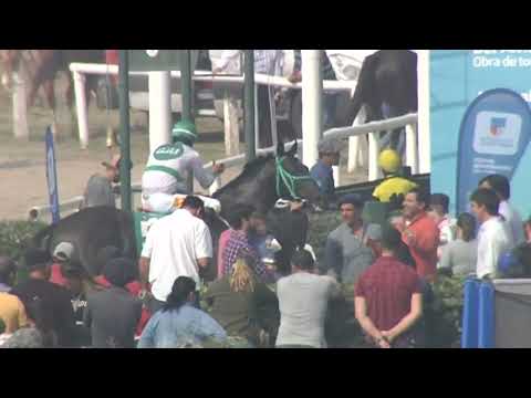 CARRERAS SINT COLONIA - 220825 c05 1° BELO PALPITE (BRZ)