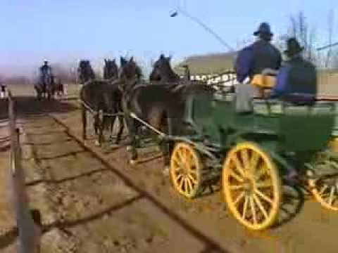 A.I.C.R 1993 Hungary Lajosmizse