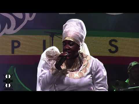 Queen Omega - Fittest - Live at the Rototom Sunsplash 2023