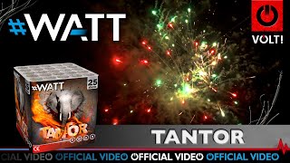 Tantor - 1023  |  CAT F2  |  Official video