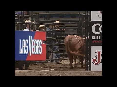 Juicy Fruit bucks Cory McFadden - 00 PBR Uniondale