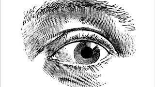 Born from the Serpent's Eye - Wolves in the Throne Room