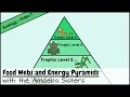 Food Webs And Energy Pyramids Bedrocks Of Biodiversity