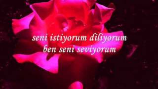 Orhan Ölmez - Seni Seviyorum (lyrics)