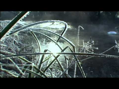 Catching The Impossible Trailer 6 - A Winters Gift