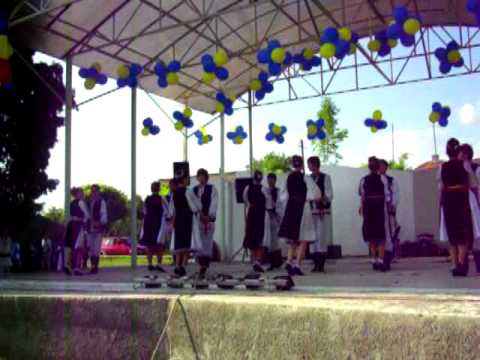 Ansamblul Flori Muresene Simeria