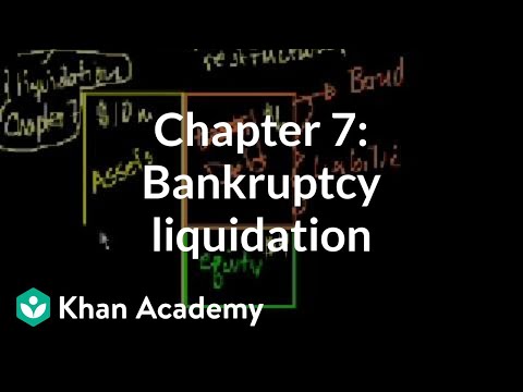 Chapter 7: Bankruptcy Liquidation