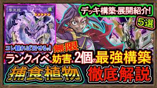 5選【捕食植物】無限妨害"展開ルート最新紹介！強く勝てるイベント最強！初心者無課金！高速ジェム回収【レジェンドアンソロジー】環境【#遊戯王マスターデュエル】