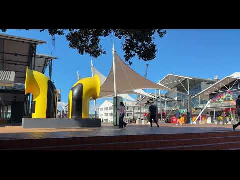 Wellington City Life | New Zealand 2025