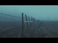 Pastel Ghost Dark Beach Slowed To Perfection
