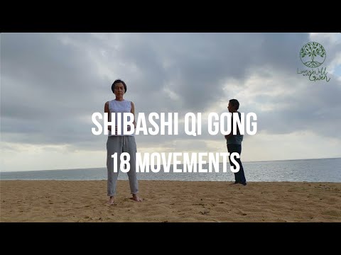 Qi Gong Shibashi with Gwen and Yudha | 18 Movements