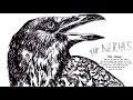 The Nitches The Chase 2014 Texas New Wave Punk Garage Rock